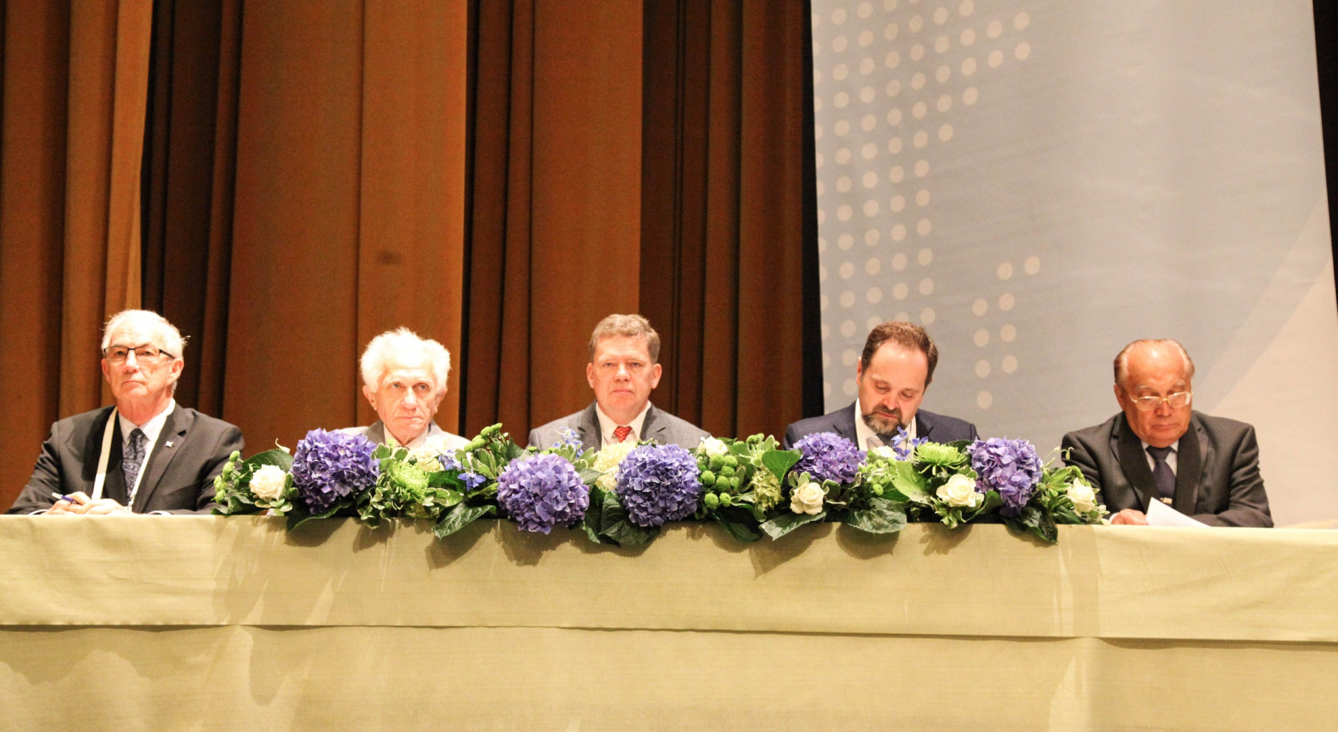 Региональная Конференция МГС (IGUMoscow, 17-21 августа 2015)