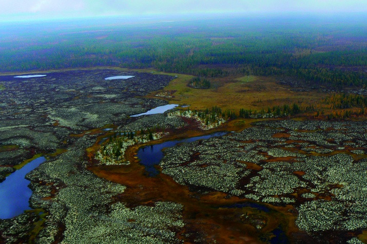 Branch in the Yamalo-Nenets Autonomous Okrug