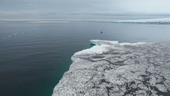 Geological Detective: Why Mesyatsev Island Has Gotten Darker