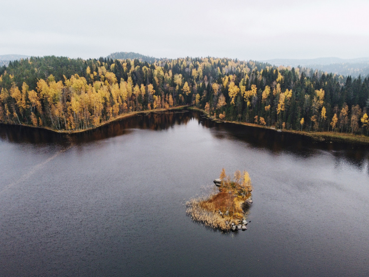Осень в Карелии. Фото: Артём Оноприенко