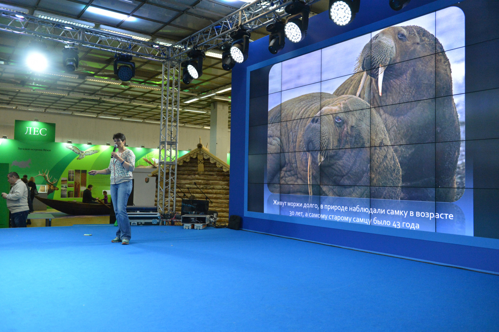 II Фестиваль Русского географического общества.