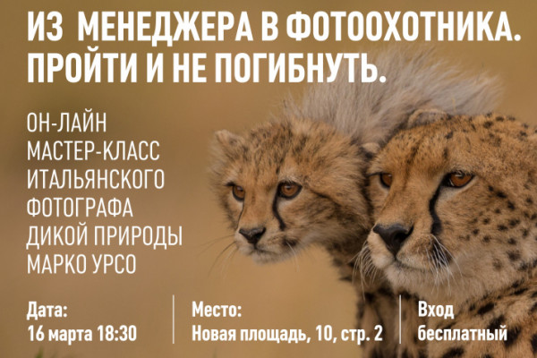 Из менеджеров – в фотоохотники
