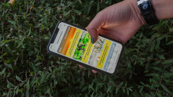 Мобильное приложение сделает наблюдение за природой проще и эффективнее