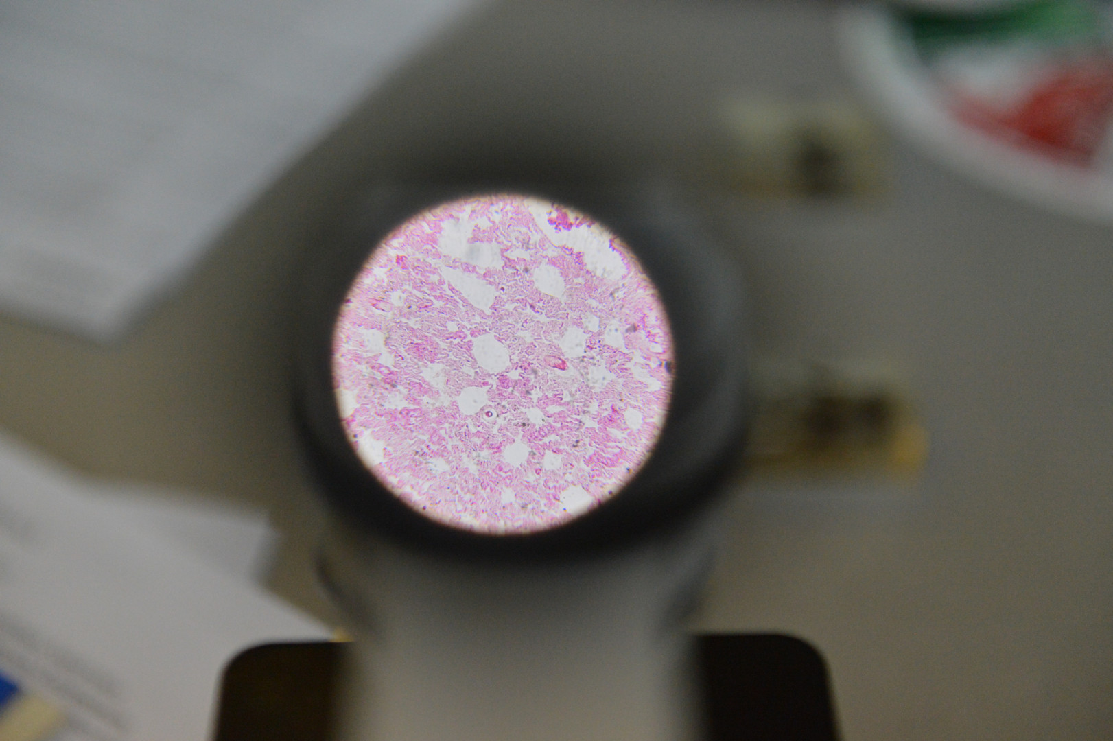 II Фестиваль Русского географического общества.