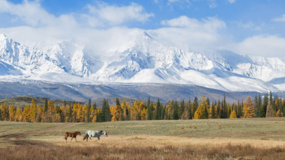 The RGS And  RussiaDiscovery Develop a Project Of Corporate Travel In Russia