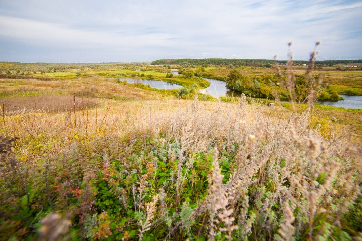 Tambov Regional Branch