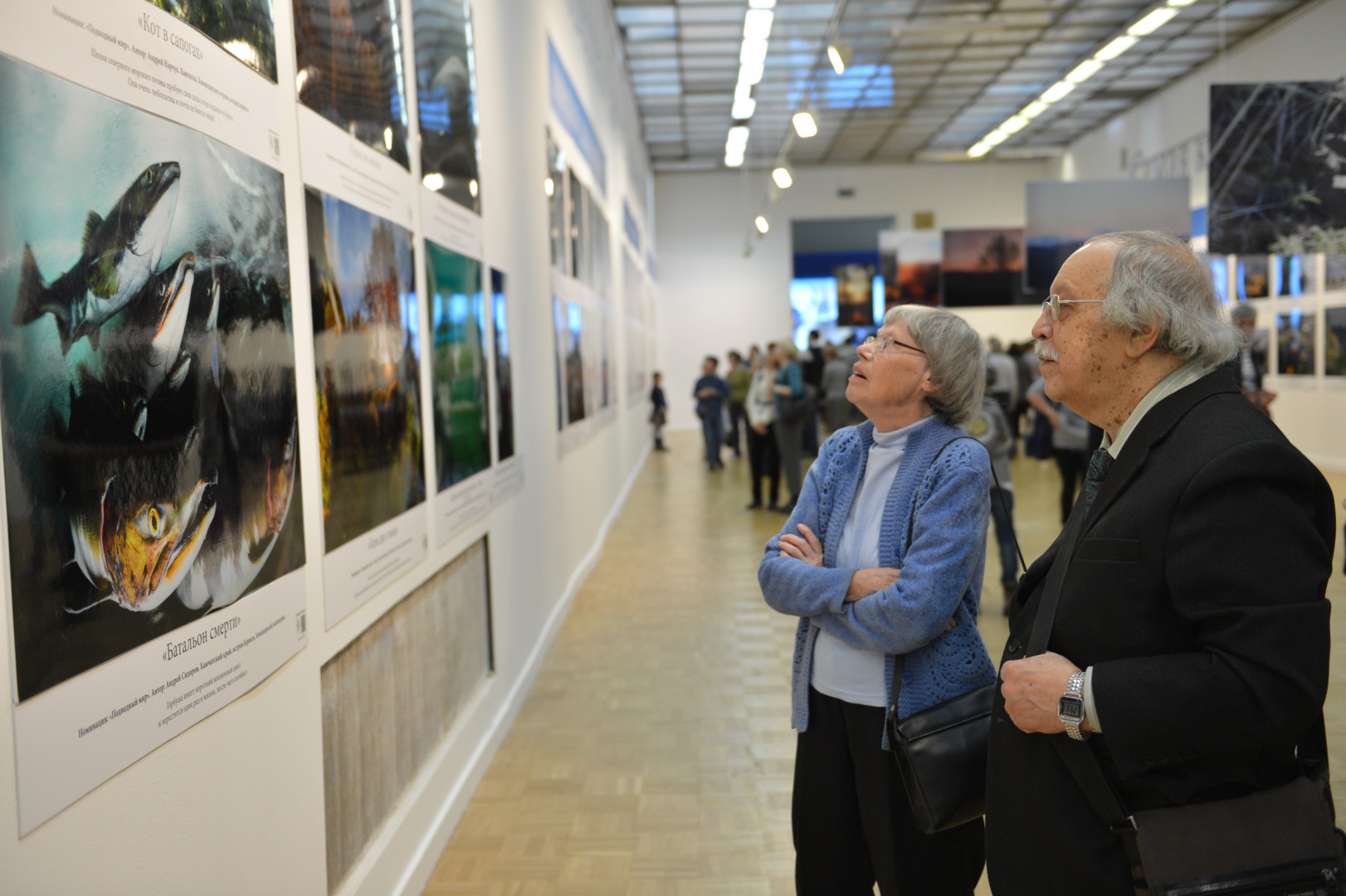 II Фестиваль Русского географического общества.