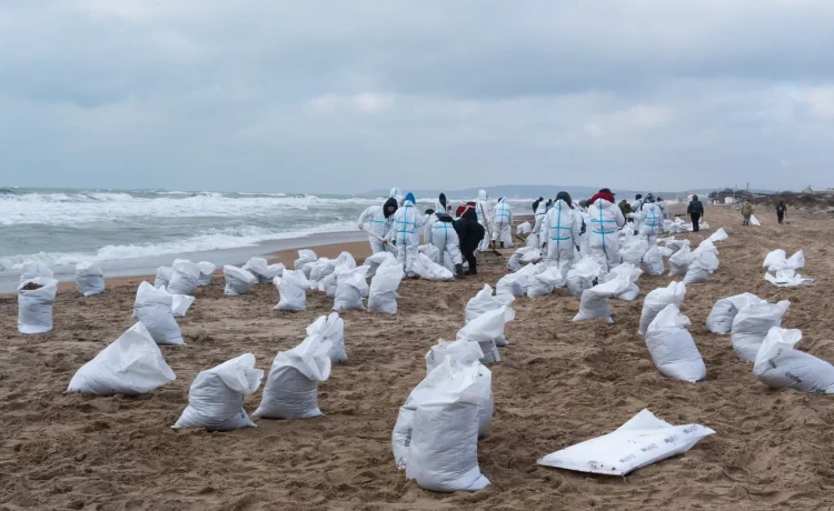 Там, где трудно: РГО помогает пострадавшему побережью Черного моря