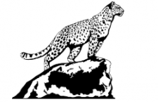 Eurasian Center for the Study, Conservation, and Recruitment of Leopard Population