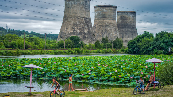 Будут ли в Подмосковье расти бананы? Эксперты РГО обсудят последствия климатических изменений 