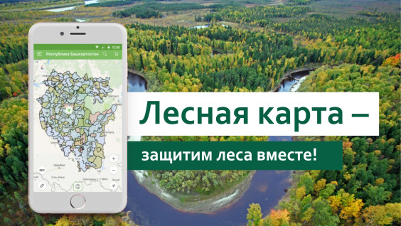 "Лесная карта Башкортостана" поможет в борьбе с незаконной вырубкой деревьев и лесными пожарами