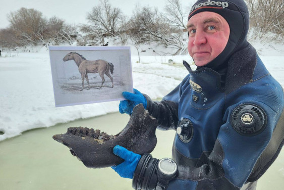 Активисты РГО подняли со дна Тобола новые сокровища «костяной линзы»