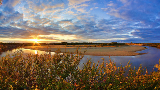 Geographers and Physicists at Lomonosov MSU to Assess the Influence of Oil and Gas Production on Arctic Ecosystems