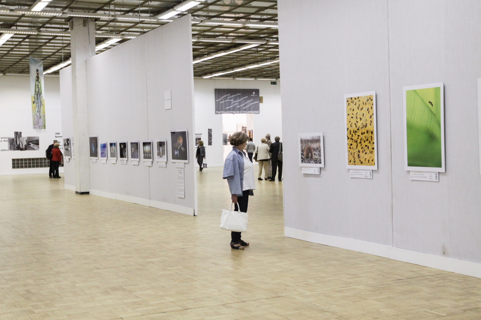 Фоторепортаж с открытия выставки «Золотая черепаха» (27 июня 2014 года)