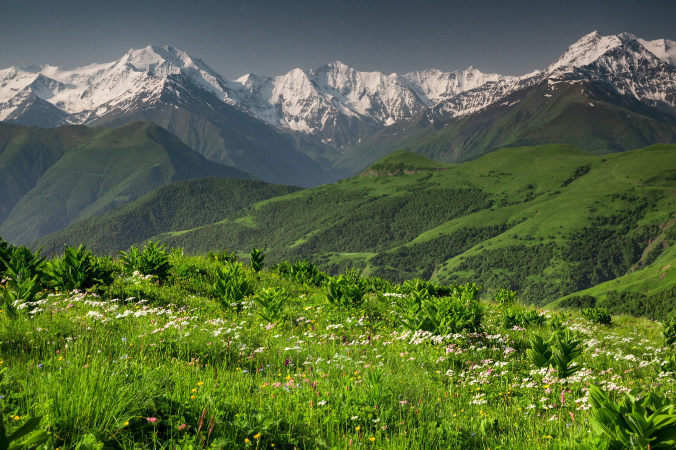 Большой Кавказский хребет считают одной из возможных границ Европы и Азии. Фото: Абдуллах Берсаев, участник конкурса РГО 