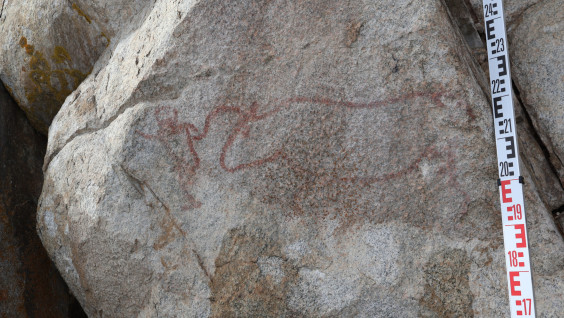 Рисунки древних людей впервые найдены в бассейне реки Кан