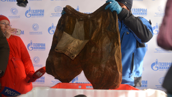 Одежда, еда и предметы быта XVIII века: что нашли на затонувшем судне "Архангел Рафаил" в 2020 году