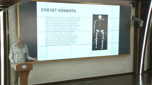 11.05.16. Микросомия в эволюции человека