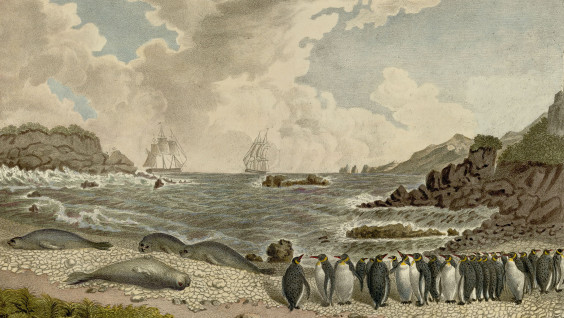 Атлас к путешествию Фаддея Беллинсгаузена опубликован на Геопортале РГО