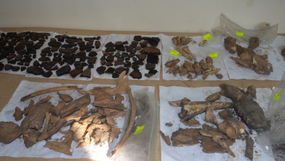 Artifacts of Over 5000 Years Old Discovered in Krasnoyarsk Territory