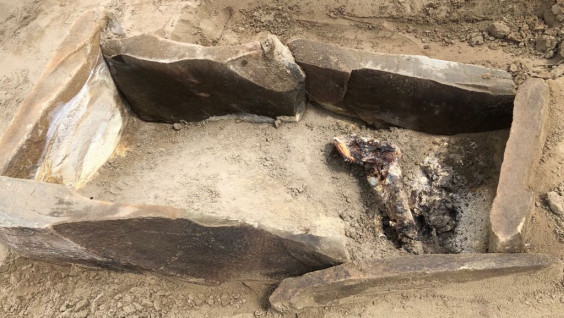 Находка Комплексной археологической экспедиции в Туве
