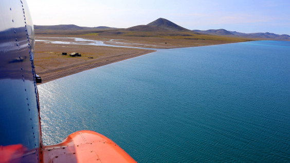 Рыбы-лентяи, спринтеры и консерваторы: учёные изучают ихтиофауну озера Эльгыгытгын