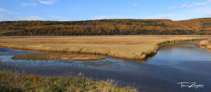 Sakhalin Regional Branch