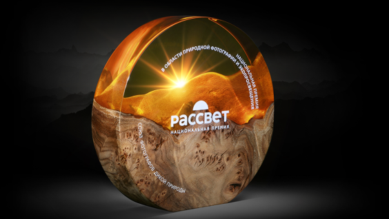 Национальная премия «Рассвет» завершит прием работ 1 февраля