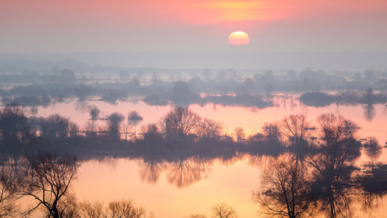 MSU Scientist Discovers River Floods in Europe Became Larger and More Frequent