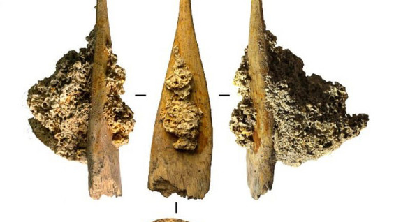 Под Воронежем археологи нашли ребро мамонта с застрявшим в нём костяным наконечником