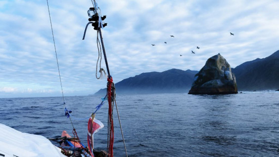 Эффектно и опасно: тримаран кругосветки РГО вышел в Тихий океан