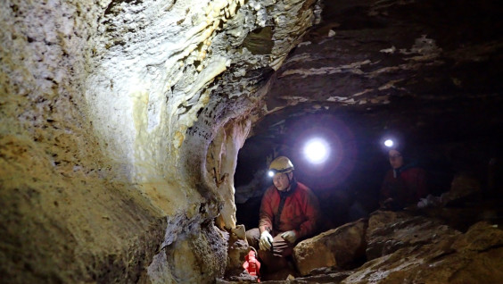 Загадка Ботовской пещеры: откуда в запутанном лабиринте медведи