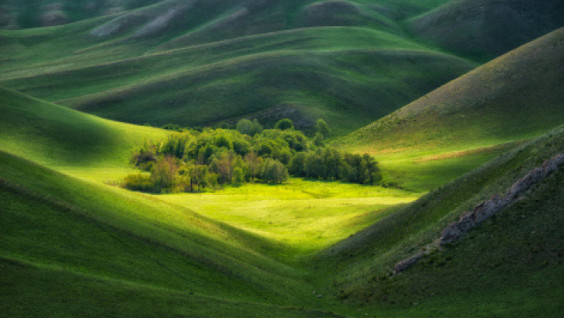 The Jury of the V RGS Photo Contest "The Most Beautiful Country"  Has Been Specified