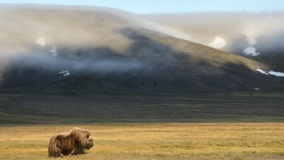 From Chukotka to Nakhodka