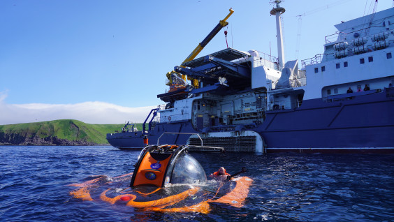 Хроника подводной жизни: завершилась экспедиция ЦПИ РГО на остров Матуа
