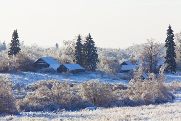 Pskov Regional Office