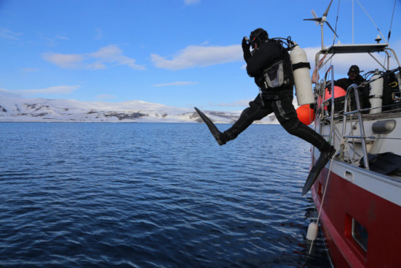 Expedition Antarctica 100