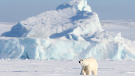 The Arctic in an Era of Rapid Change