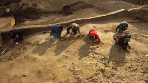 В Красноярске археологи обнаружили артефакты, которым больше 12 тыс. лет