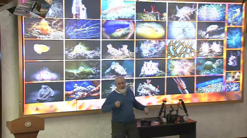 25.12.2019. Мастер-класс "Введение в подводную фотографию"