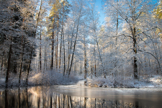 В Штаб-квартире РГО представили самые «зеленые» города России для ответственных туристов