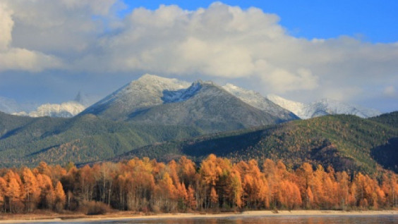 Barguzinsky Reserve celebrates 100 years