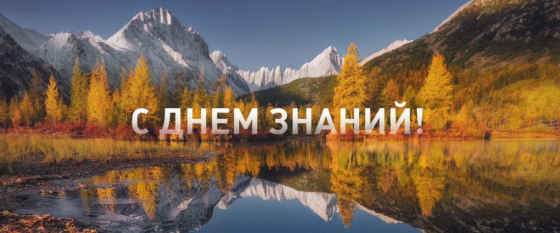 картинка/видео баннера на главной странице