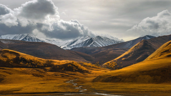 Who Goes to Altai: Participants of the RGS  International Internship Determined