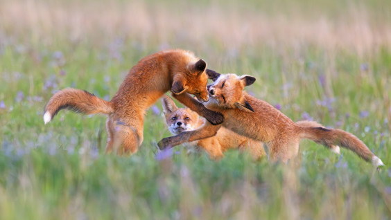 How to Take the Best Photo of Russia