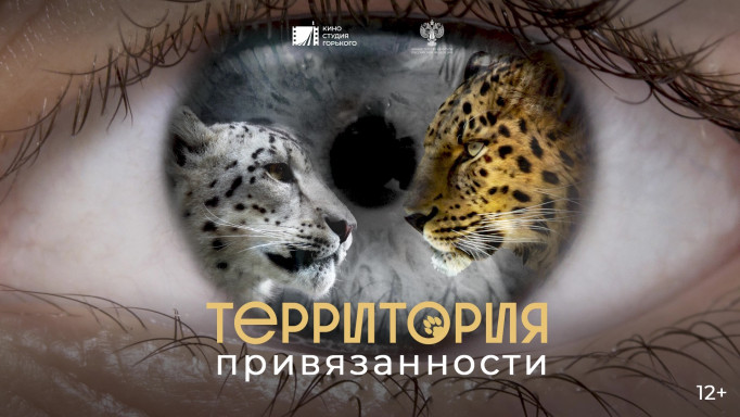 Территория привязанности