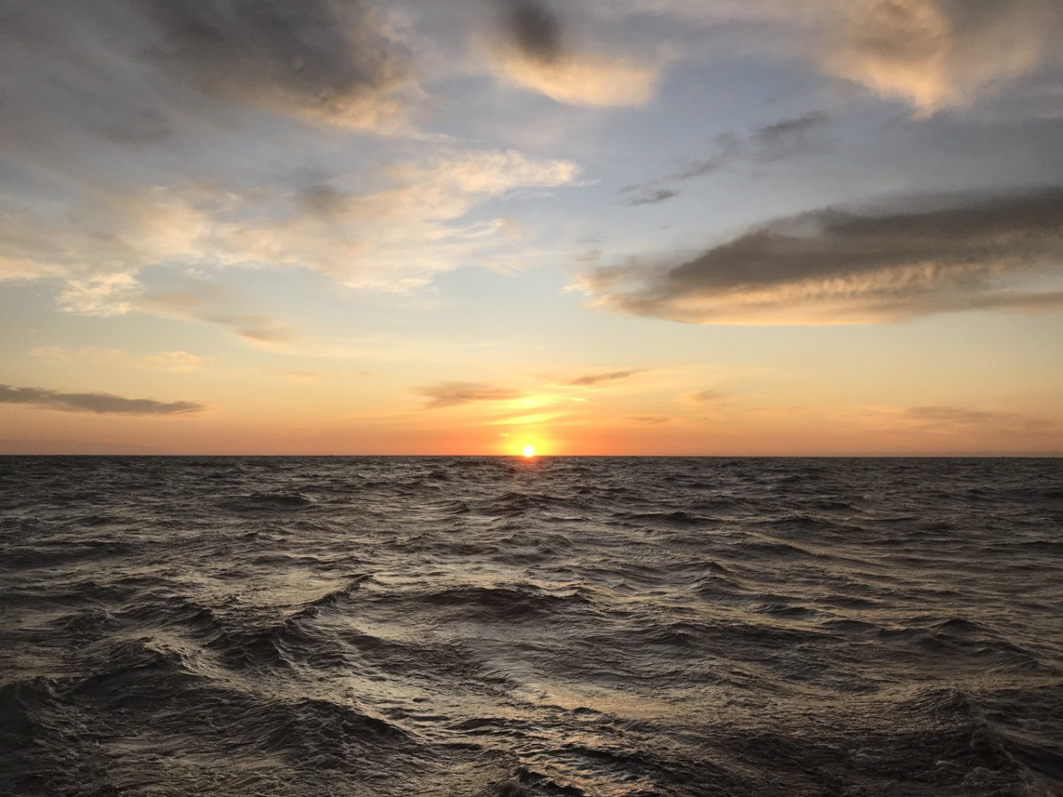 Впереди - океан. Фото участников экспедиции РГО на тримаране Russian Ocean Way 