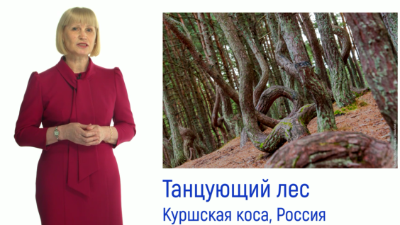 Хотите совершить путешествие по всему миру? Приглашаем на наши вебинары