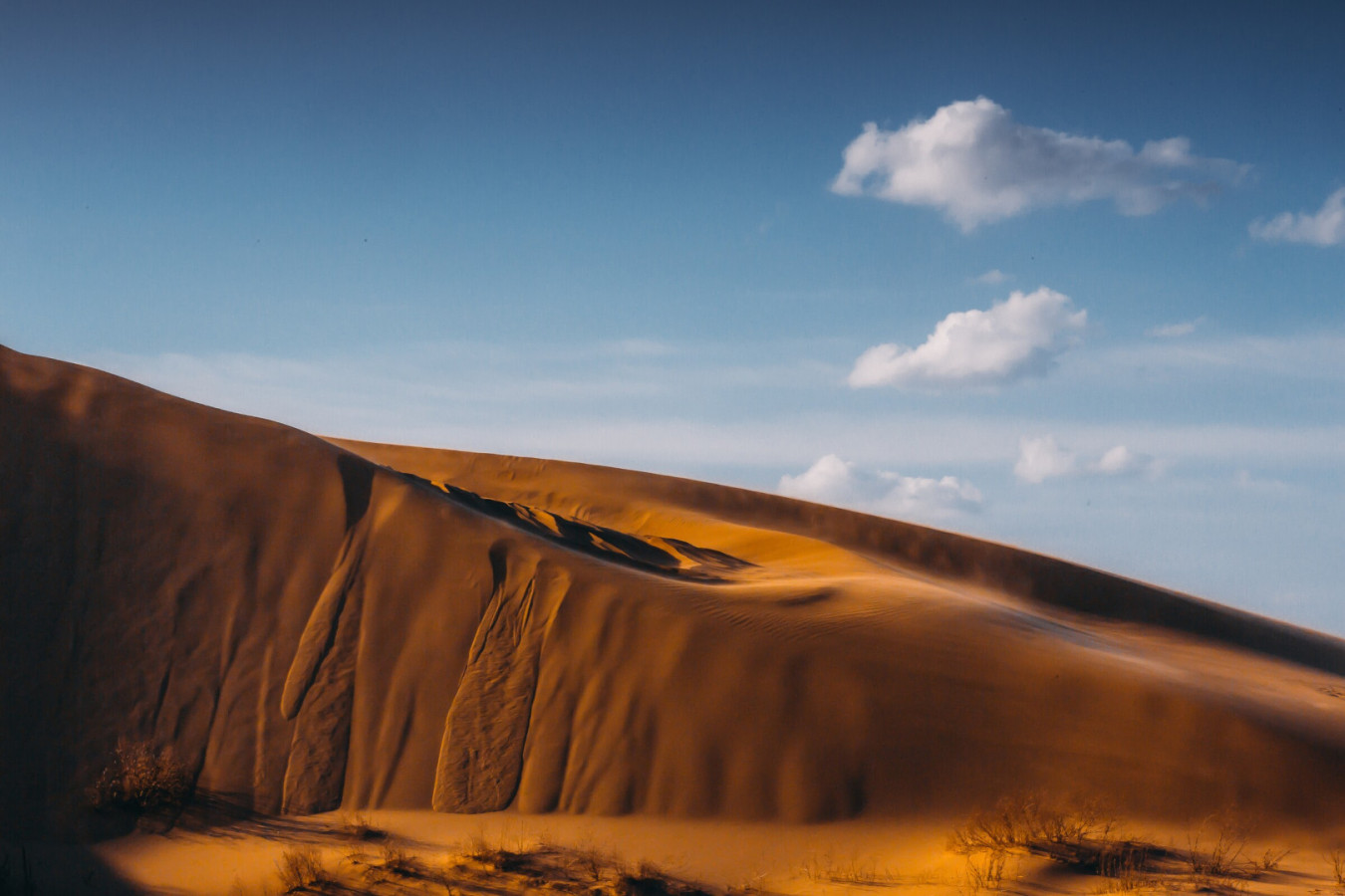 Сарыкум. Фото: Заид Хамидов, участник конкурса РГО «Самая красивая страна»