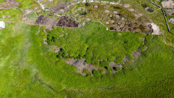 "Ghost Army" Guarding The Tsar: RGS’s Expedition Discovers How Ancient Scythian  Sacrifices Were Performed